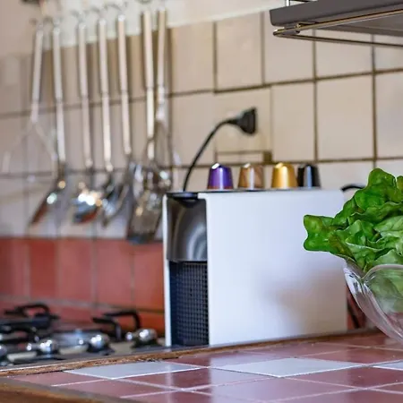 Your Tuscan Escape Lucca